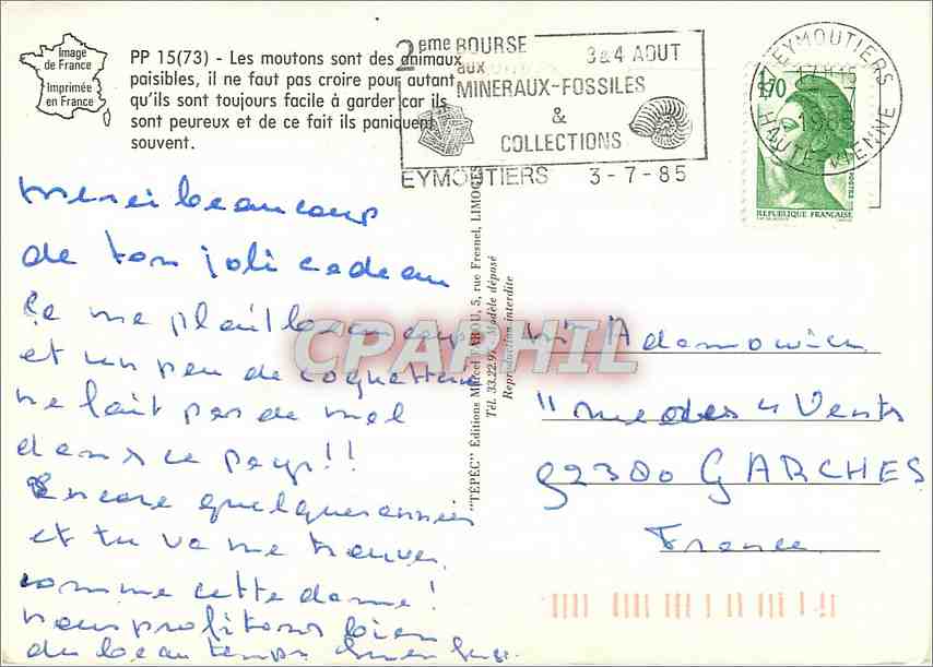CPM Le Toupeau et leur Gardienne Chien Moutons — Rückseite