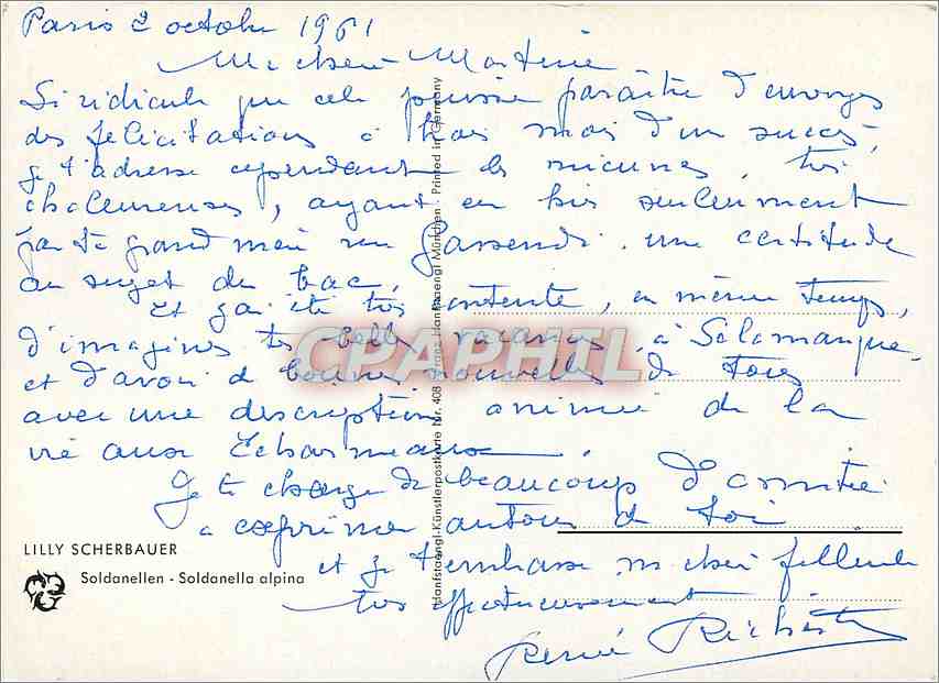 CPM Lilly Scherbauer Soldanellen Soldanella alpina — Verso