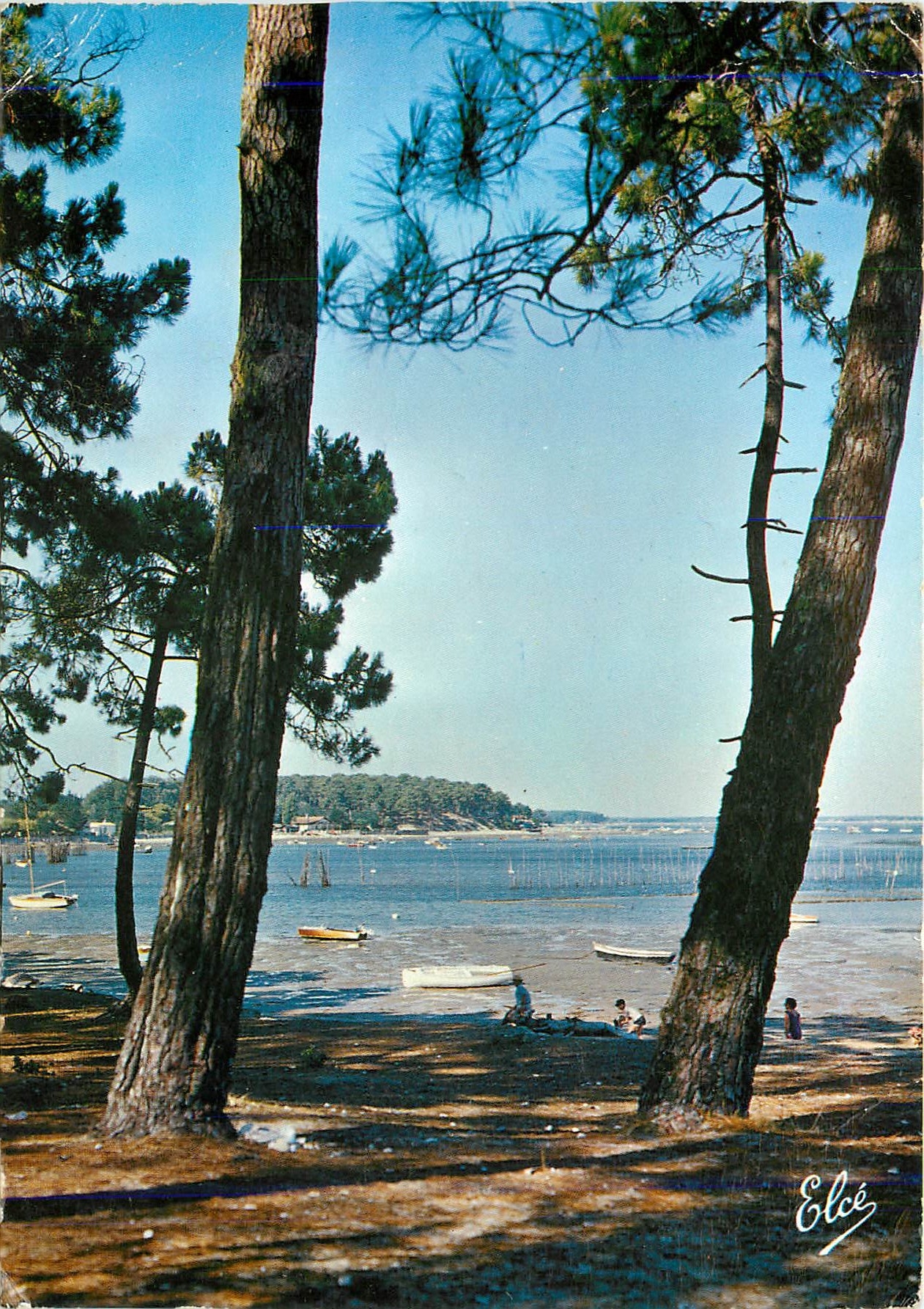 CPM Bassin d'Arcachon (Gironde) Un joli coin du Bassin