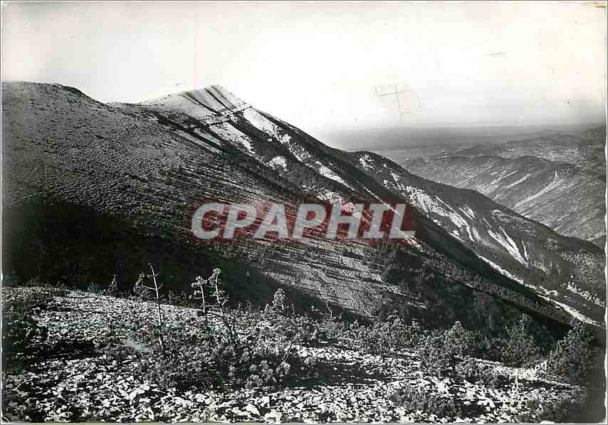 CPM Mont Ventoux (Vauclusse) alt 1908 mle versant Nird