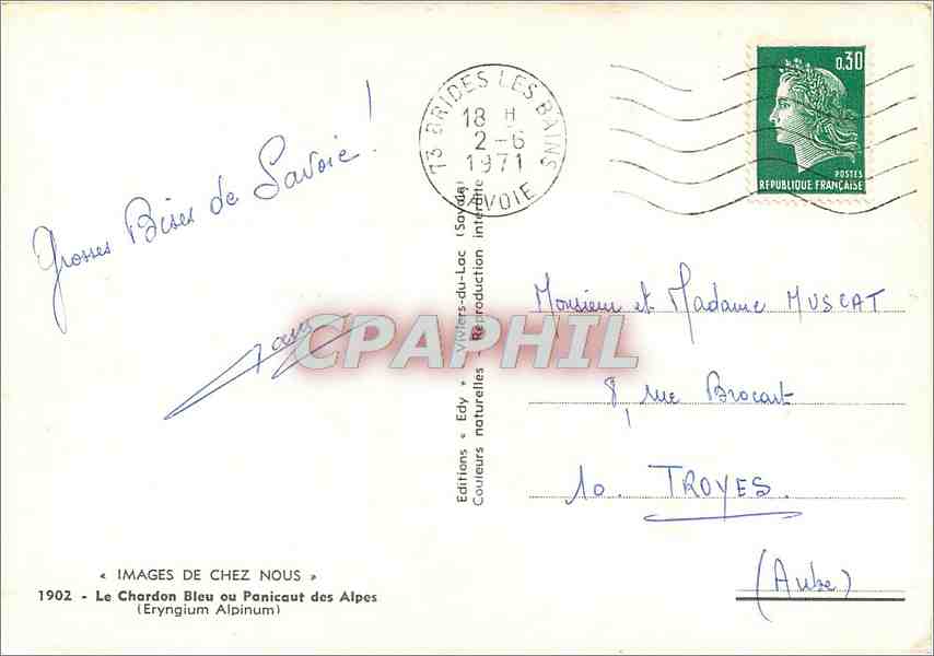 CPM Images de Chez nous Le Chardon bleu au Ponicaut des Alpes (Eryguim Alpinum) — Rückseite