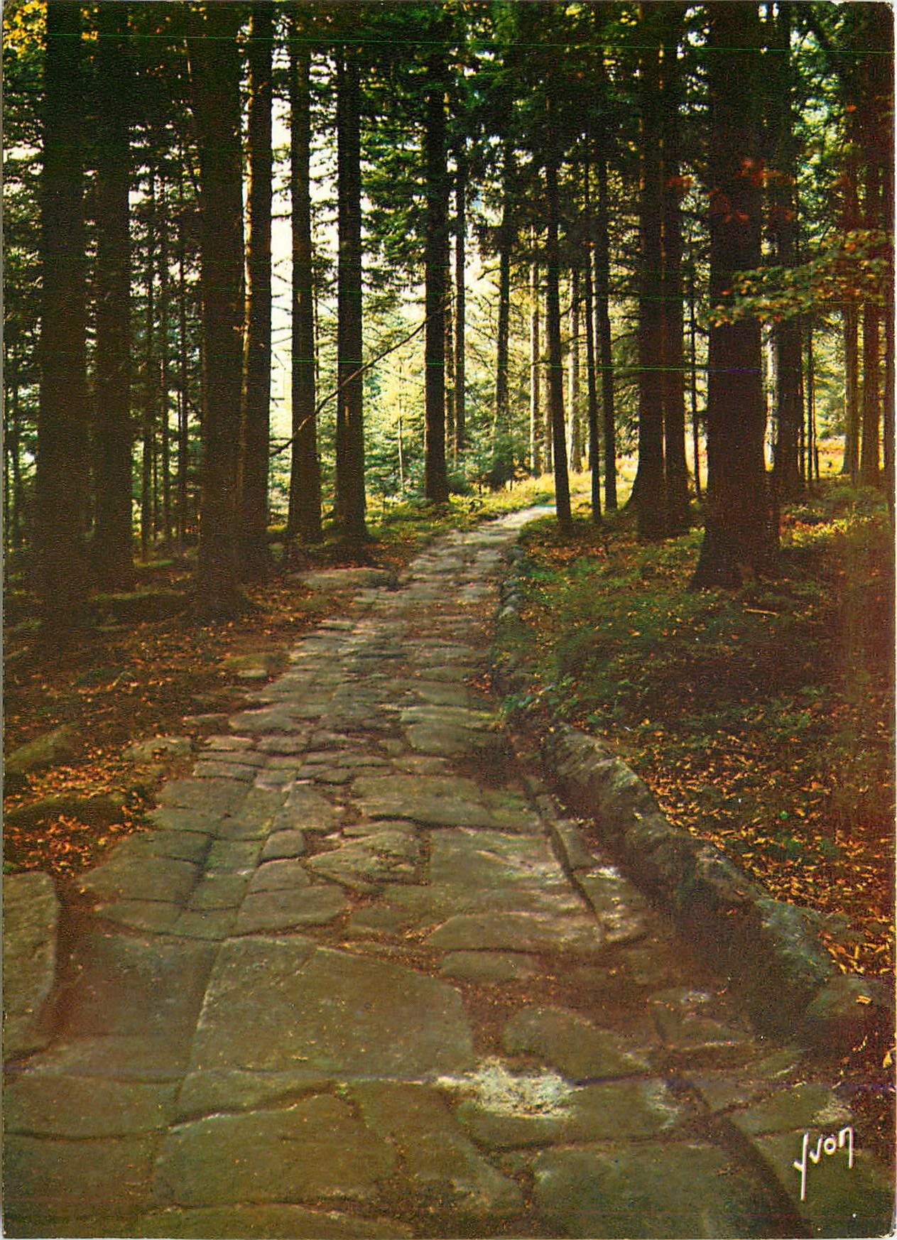 CPM Coulerus et Lumiere de France Raon l'Etape (Vosges) Aux environs la route Romaine