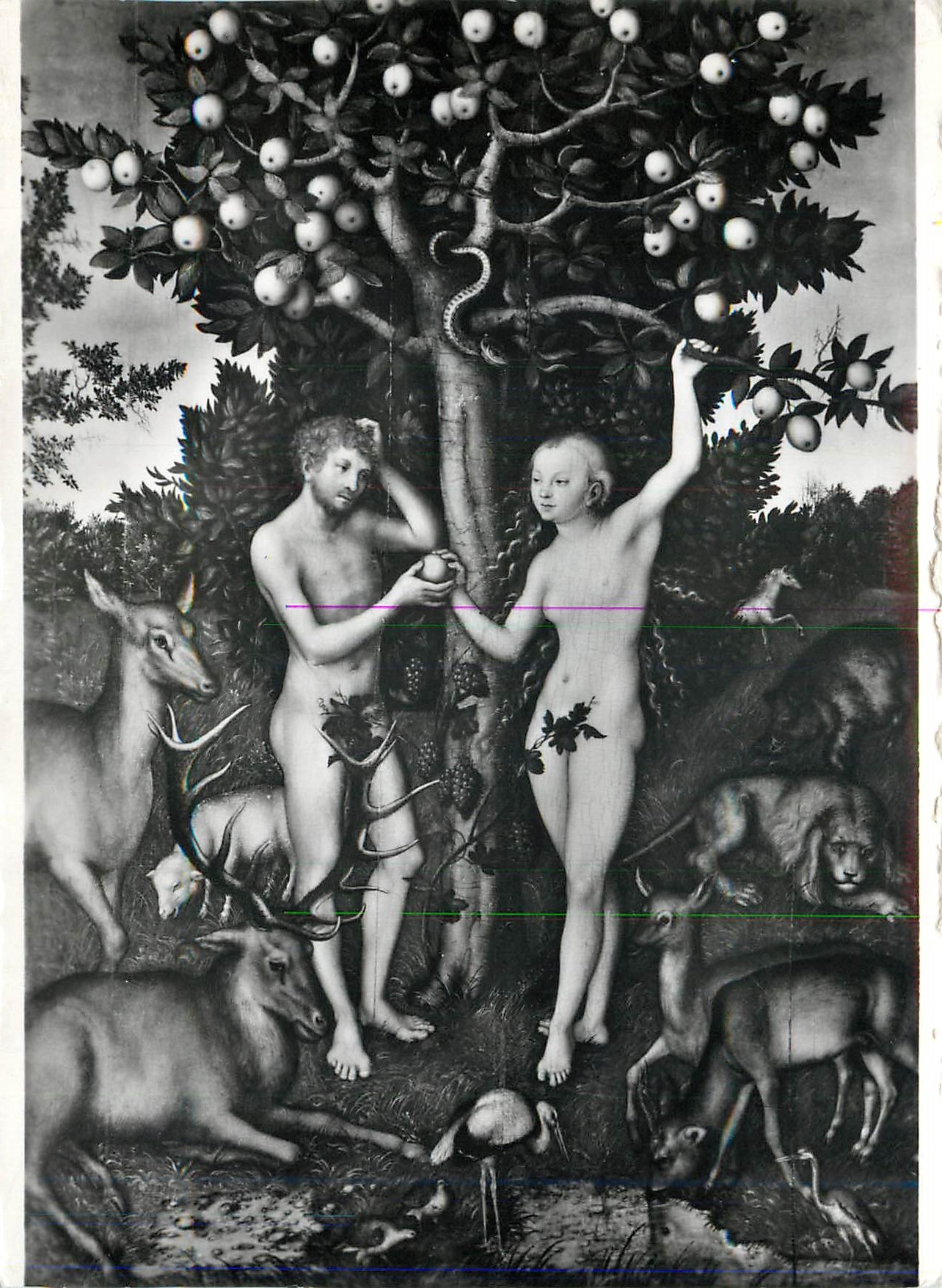 CPM Lucas Cranach the Elder (1472 1553) Adam and Eve