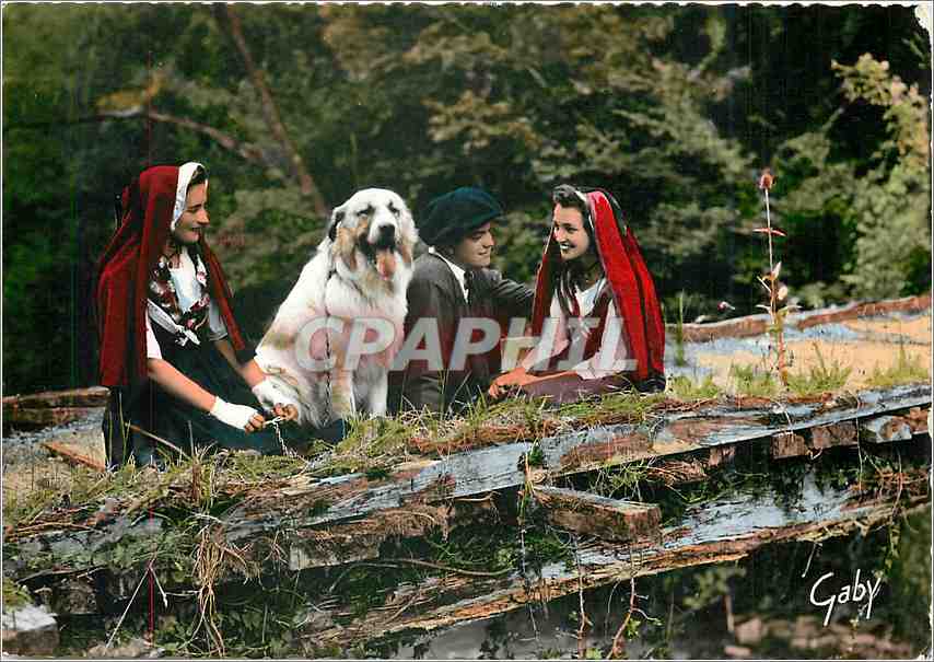 CPM Folklore de France Le Bearn (B P) Lou Ceu de Pau Groupe Folklorique bearnais sur le vieux Pont d