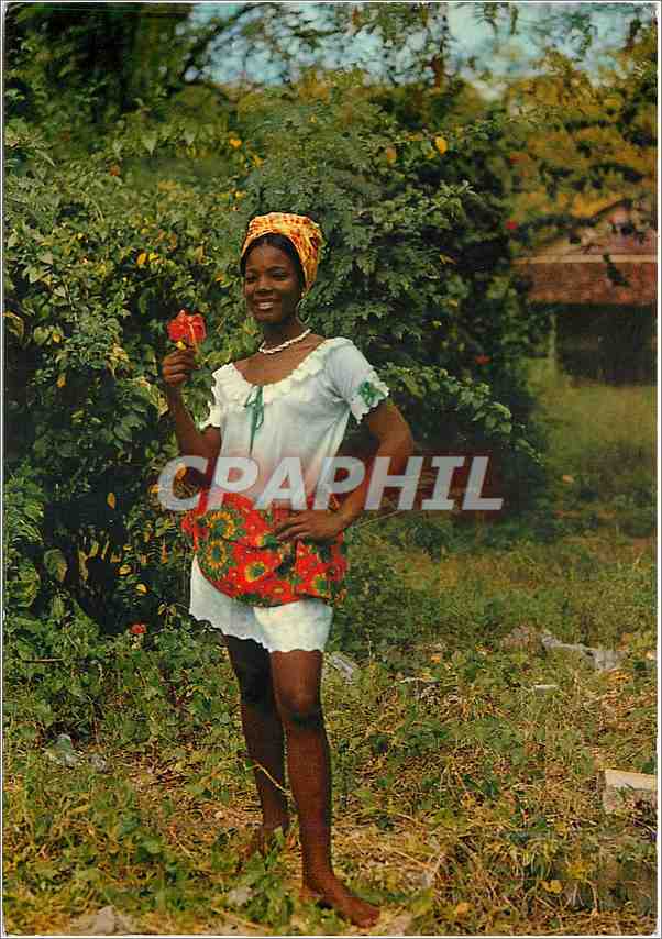 CPM Martinique Costumes creole la Ti tane en jupe