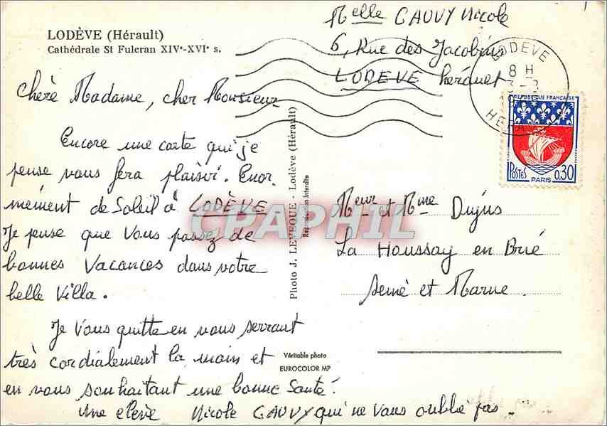 CPM Lodeve (Herault) Cathedrale St Fulran XIVe XVIe s — Back