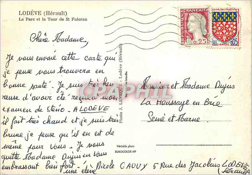 CPM Lodeve (Herault) Le Parc et la Tour de St Fuleran — Back