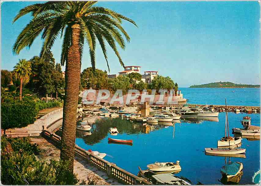 CPM Cote d'Azur Beaulieu sur Mer Le petit port et la villa Kerylos au fond le Cap Ferrat