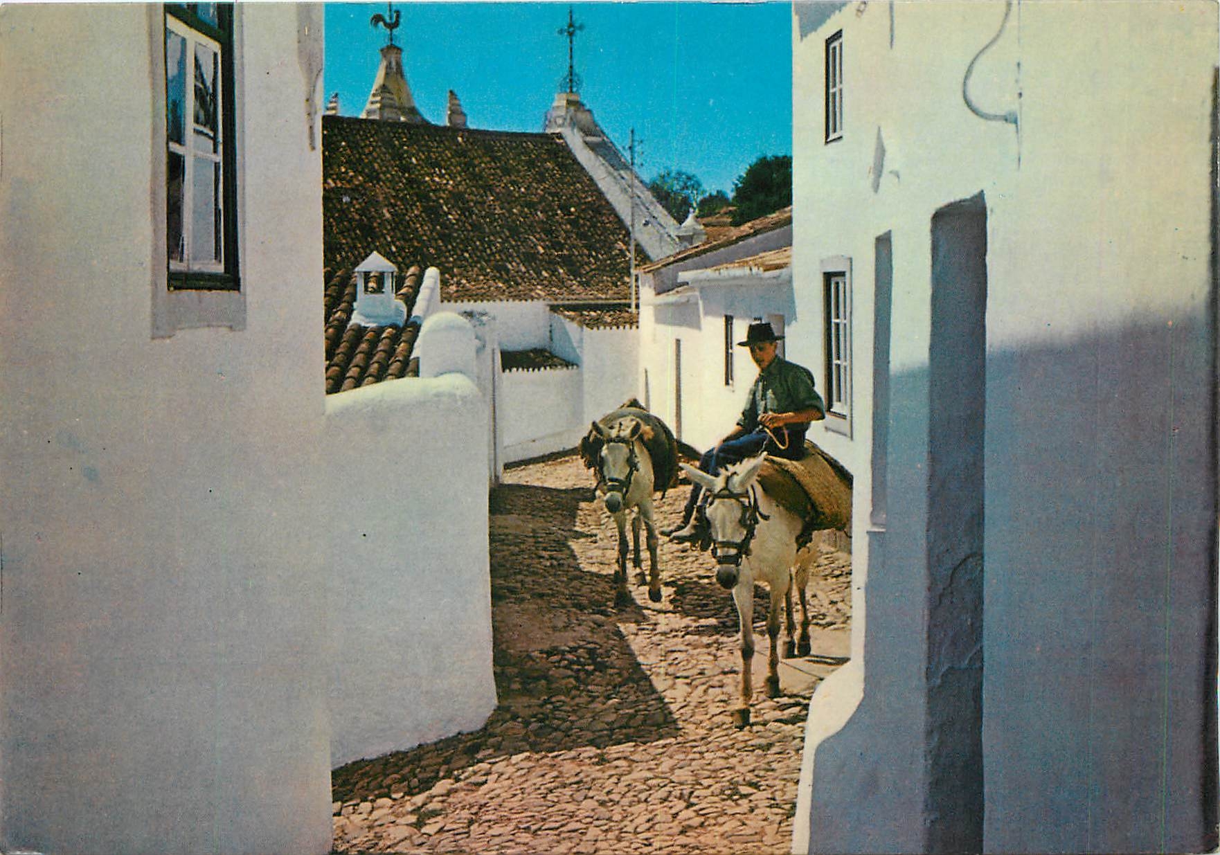 CPM Sud de la Portugal Algarve Ane Mule