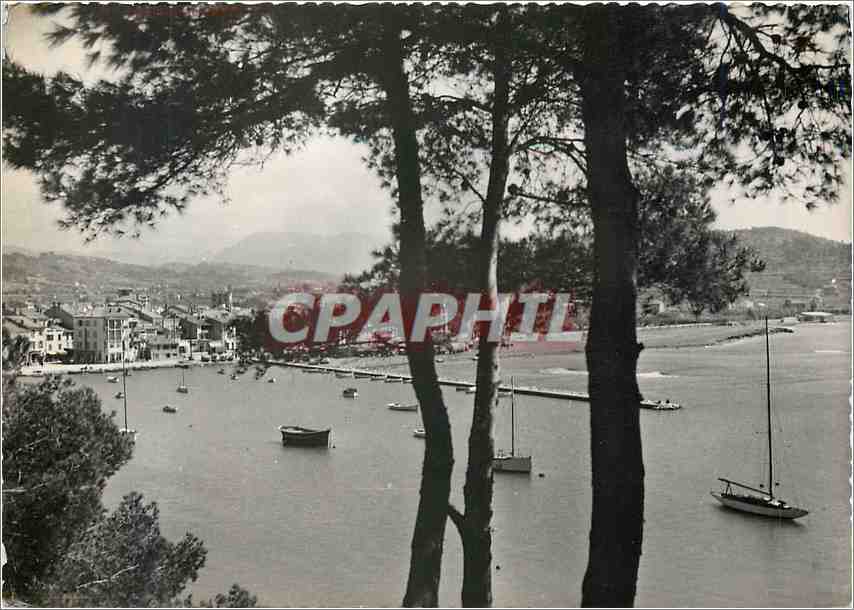 Port de Sanary-sur-Mer — vue depuis les pins — Images de Chez Nous