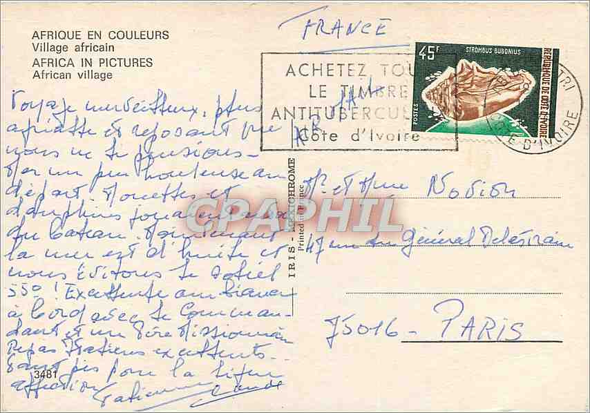 CPM Afrique en couleurs village Africain — Rückseite