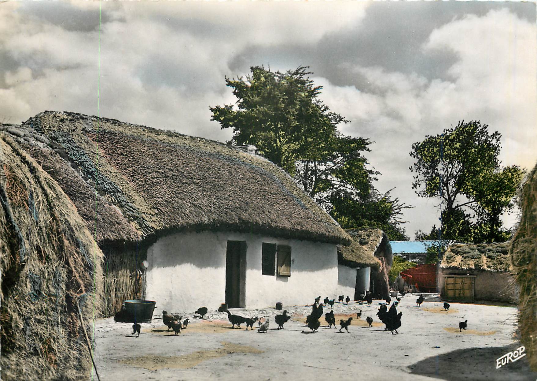 CPM Saint Jean de Monts (Vendee) Une bourine Poules