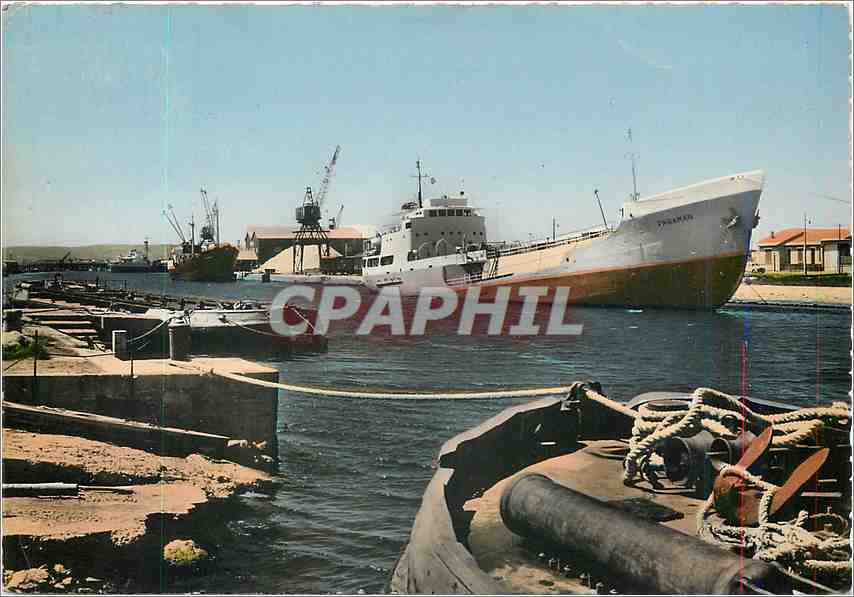 CPM Port la Nouvelle (Aude) Le port cargo a quai Bateau Faraman
