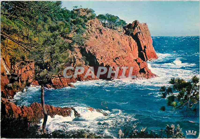 CPM La Cote d'Azur Franch Riviera La Corniche d'Or