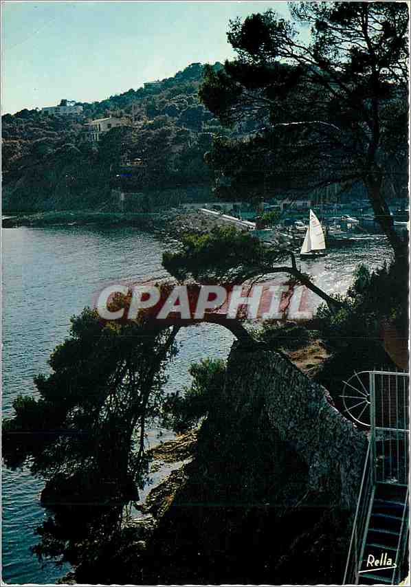 CPM La Cote d'Azur Varoise Giens (Var) Contre Jour Jardin du Provencal in coin du Niel