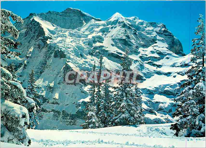 CPM Wengen Jungfrau 4158 m Schneehorm