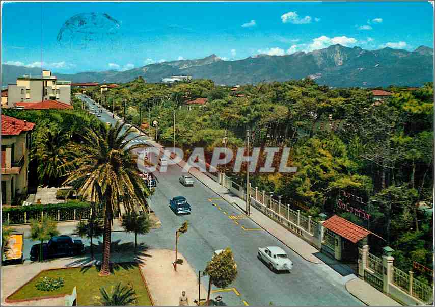 CPM Lidon du Camaiore Avenur Colombo Timbre Ours