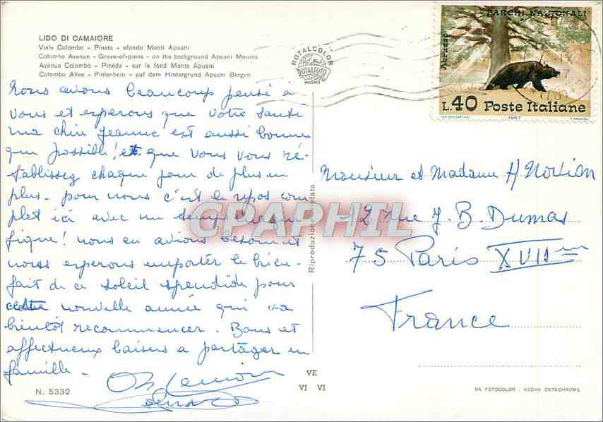 CPM Lidon du Camaiore Avenur Colombo Timbre Ours — Back