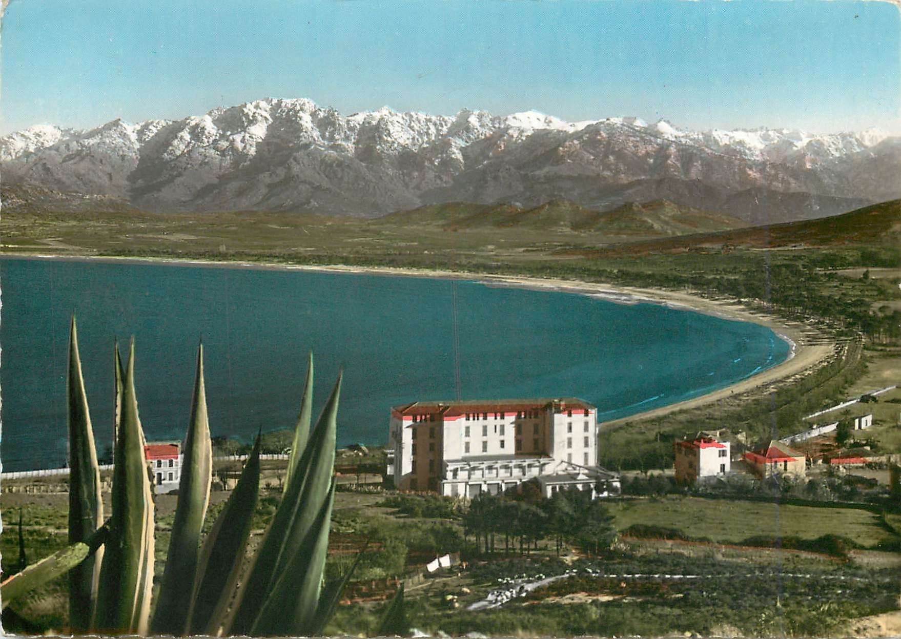 Calvi - La plage et le fond du Golfe — Éditions M.-C. Miramon, série 490