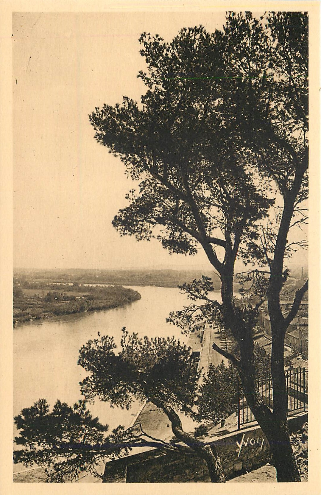 CPA La Douce France Avignon (Vaucluse) La Rhone vu du Rocher du Dom