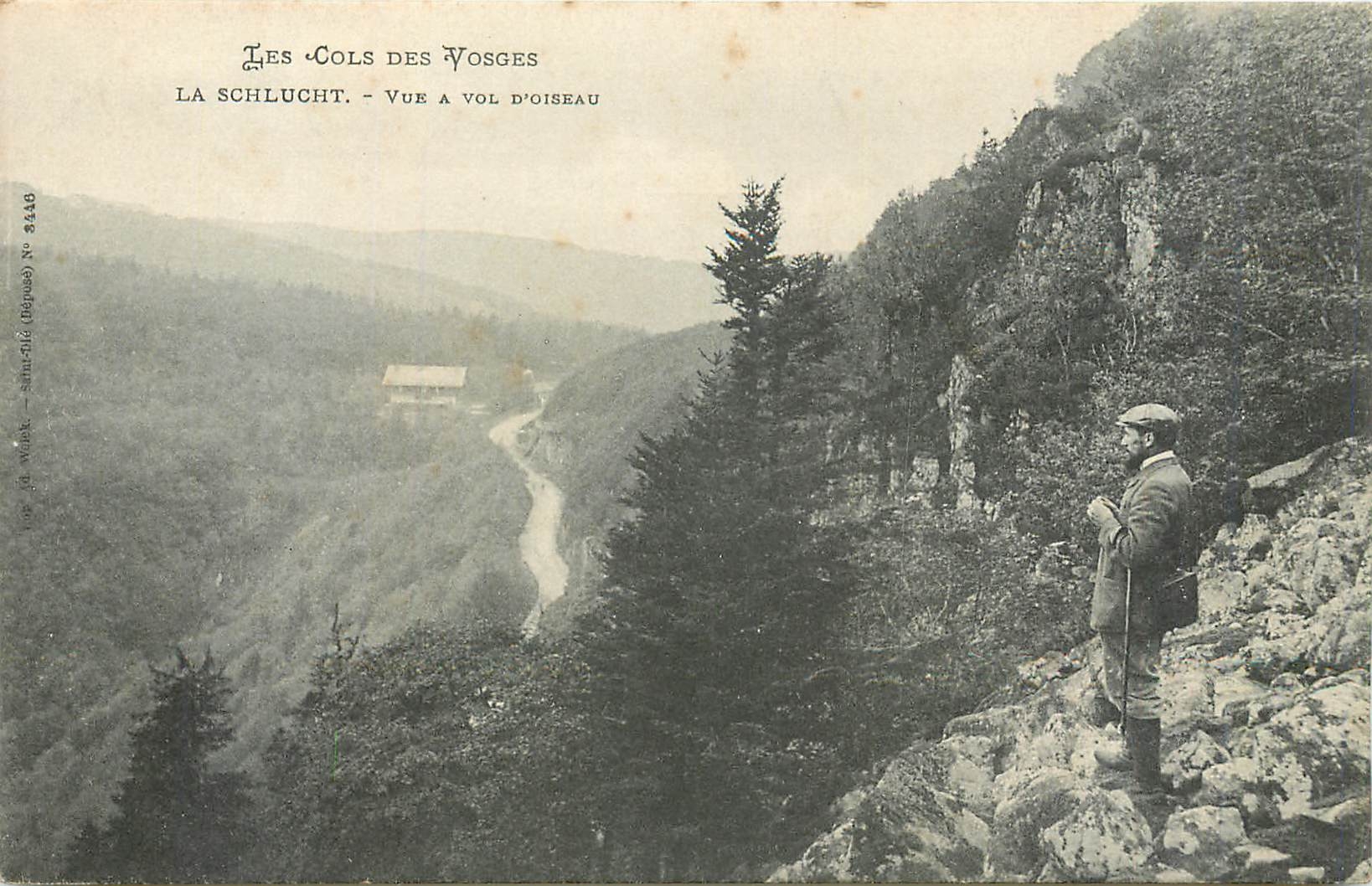 CPA Les Cols des Vosges La Schlucht Vue a Vol d'Oiseau 