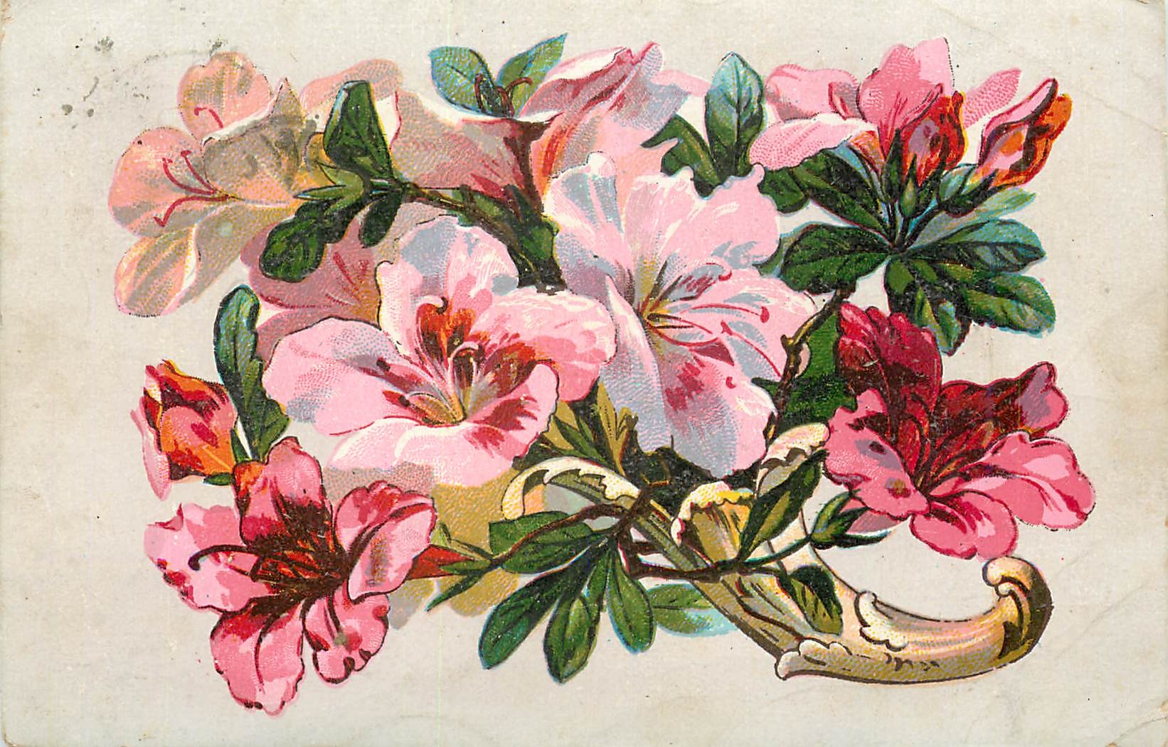 CPA Fleurs