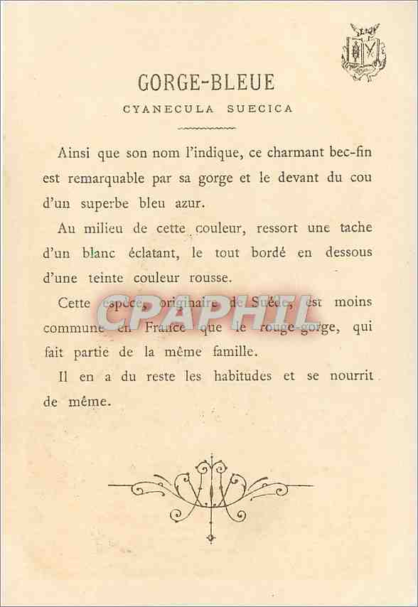 CPA Gorge Bleuk Cyanecula suecica  — Rückseite