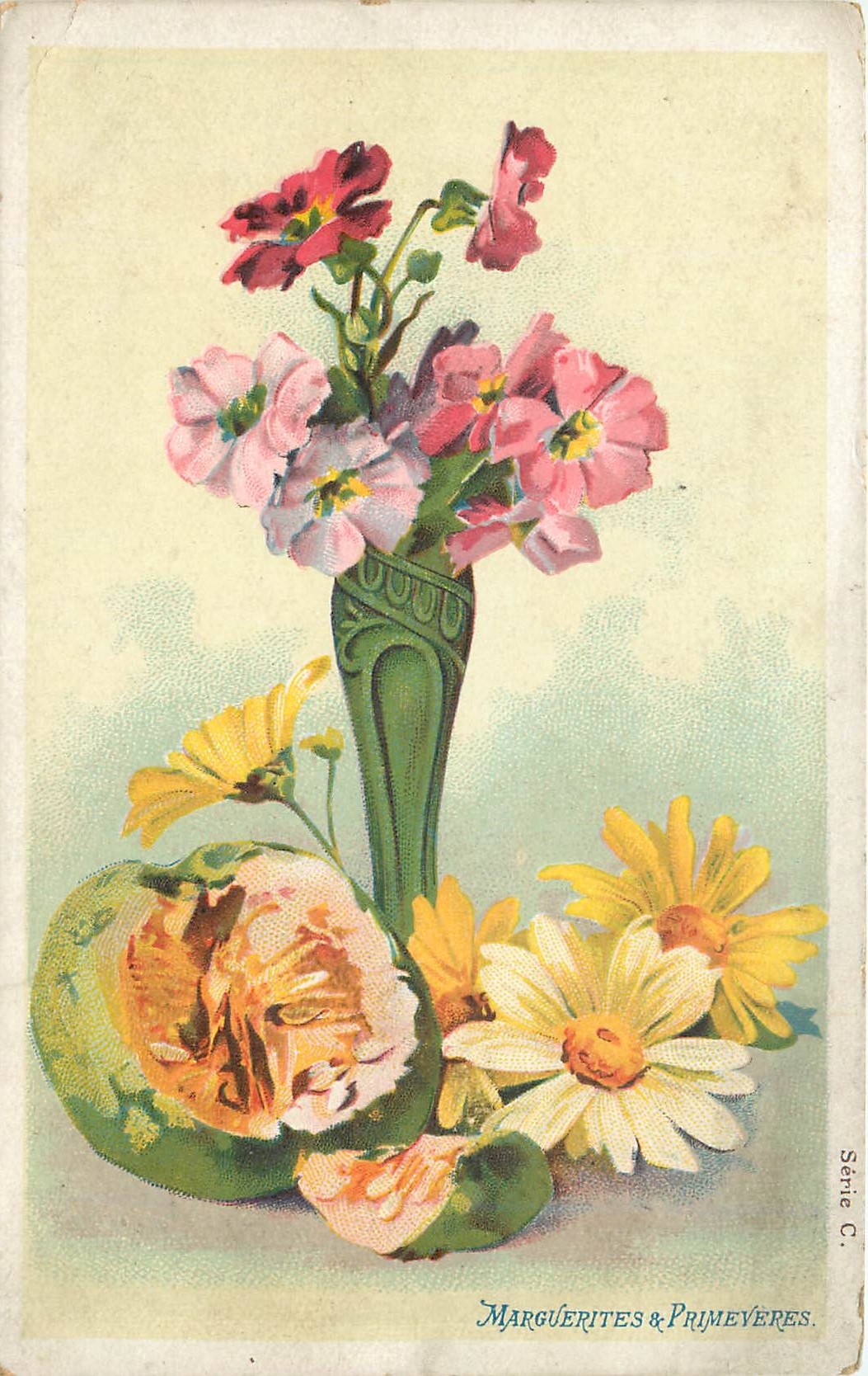 CPA Marguerites Primeveres 