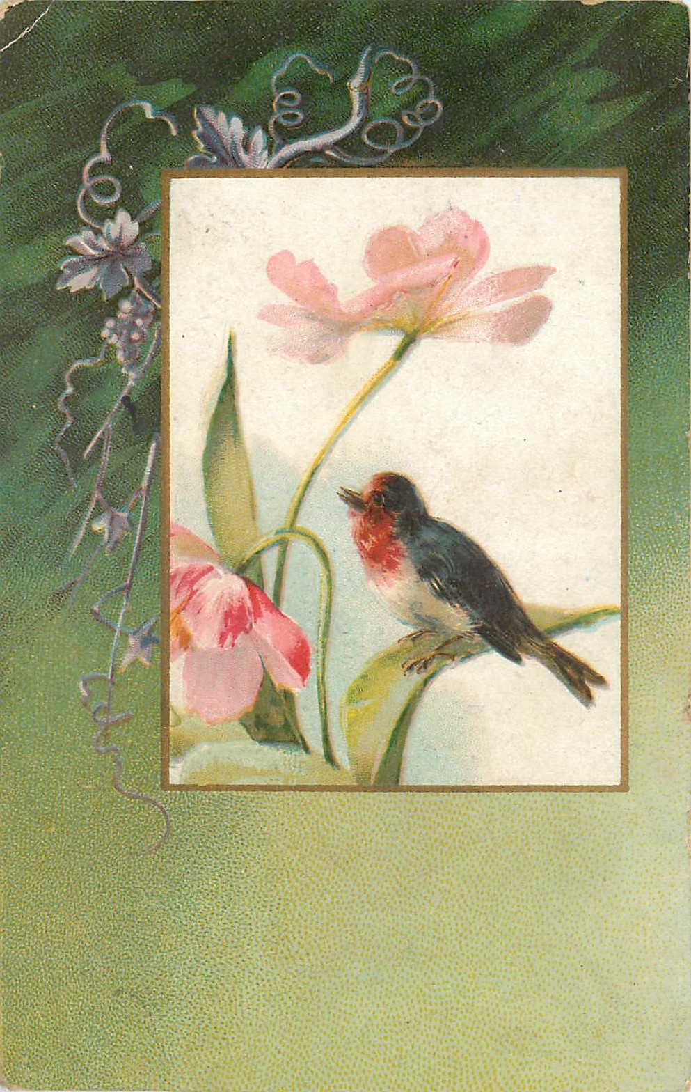 CPA Oiseau
