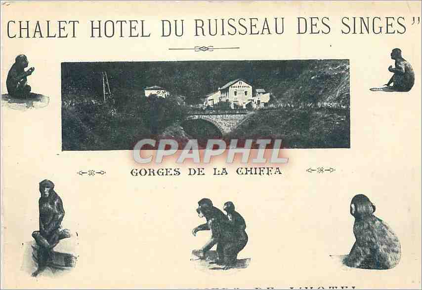 CPA Chalet Hotel du Ruisseau des Singes Gorges de la Chiffa Singes