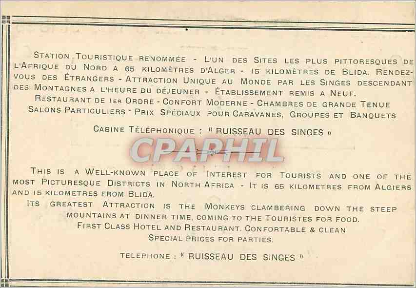CPA Chalet Hotel du Ruisseau des Singes Gorges de la Chiffa Singes — Rückseite