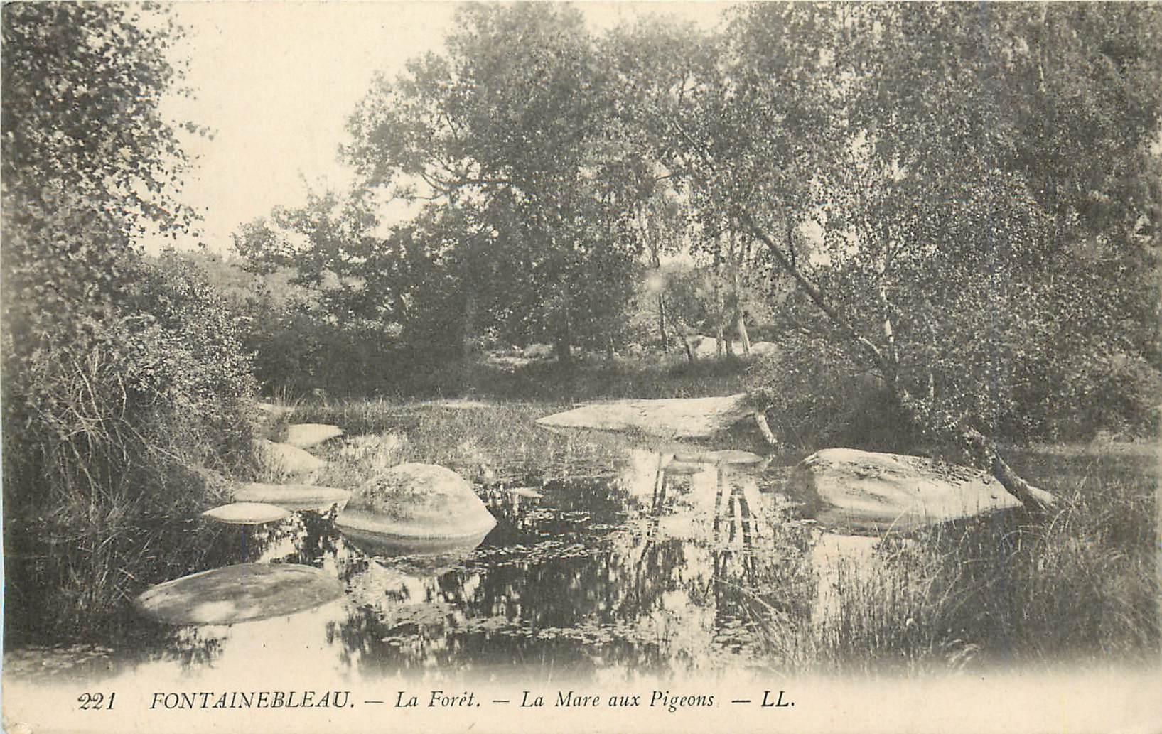 Fontainebleau — Die Wälder — Der Taubenteich — LL. — Nr. 221
