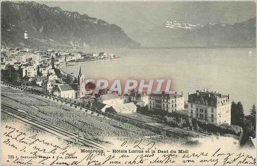 CPA Montreux Hotels Lorius et la Dent du Midi 