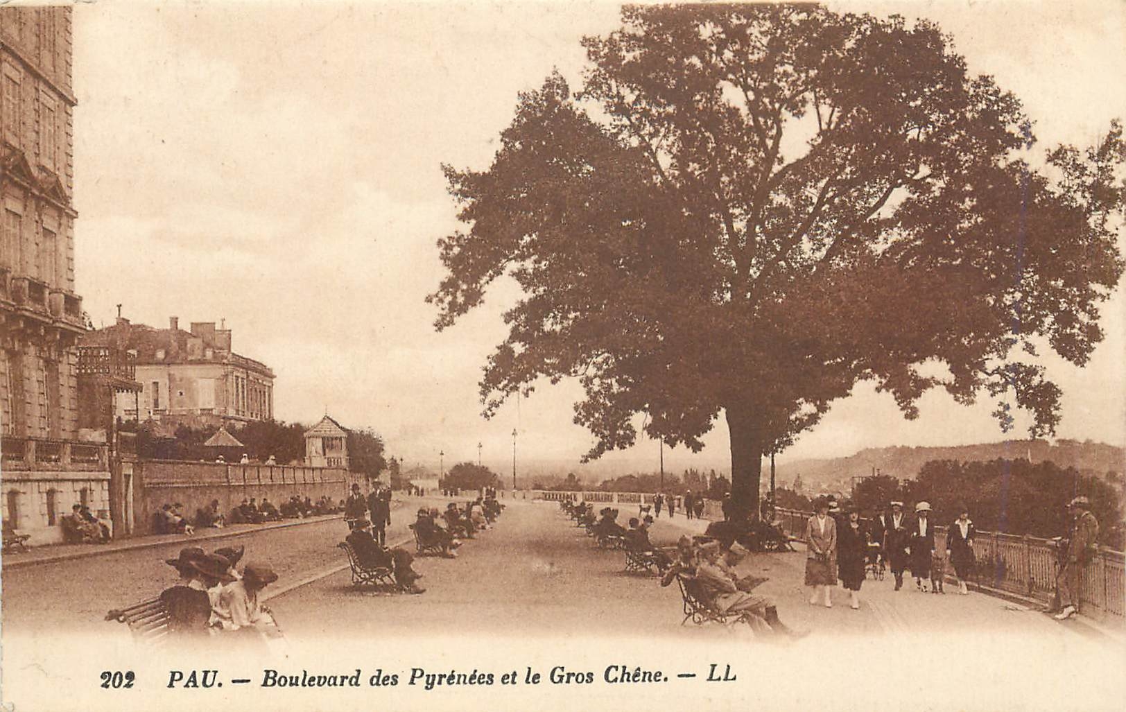 CPA Pau Boulevard des Pyrenees et le Gros Chene 