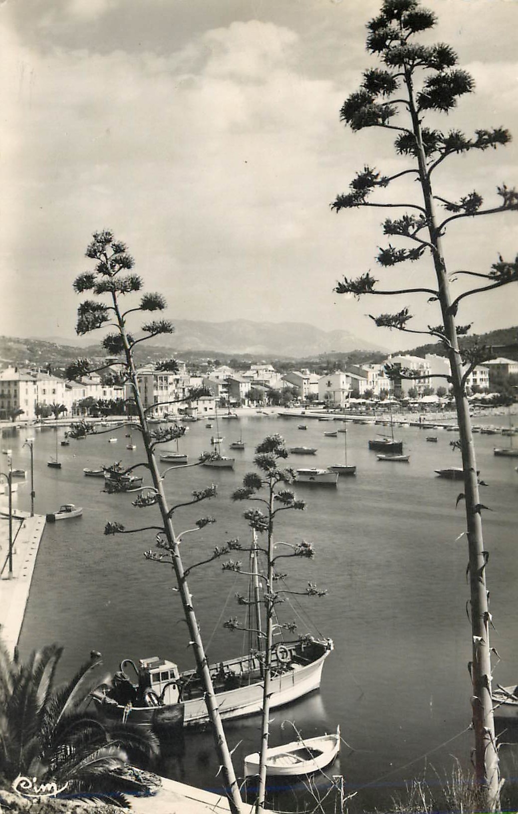 CPM Cote d'Azur Sanary sur Mer Var Une echappee sur le port