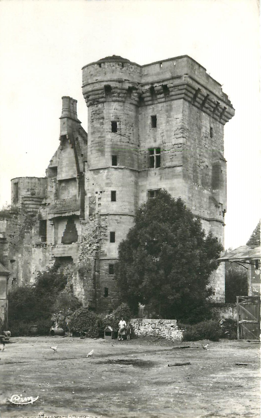 CPM Crouy sur Ourcq S et M Le Vieux Chateau Cour Interieure 