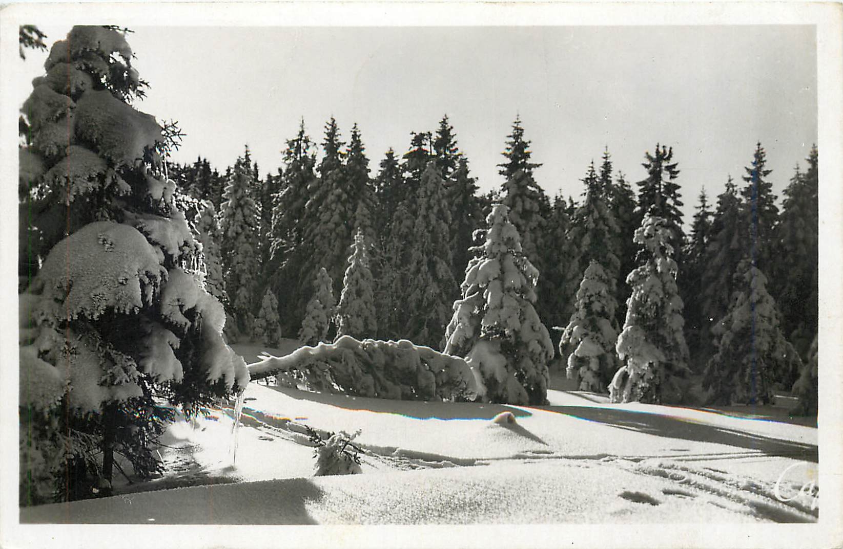 CPM Les Vosges en hiver Effet de neige 