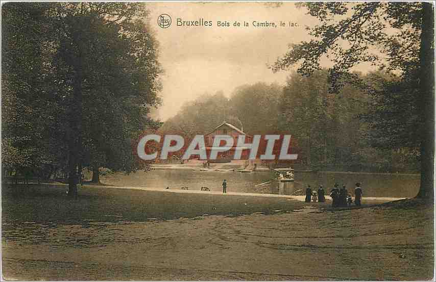 CPA Bruxelles Bois de la Cambre le lac 