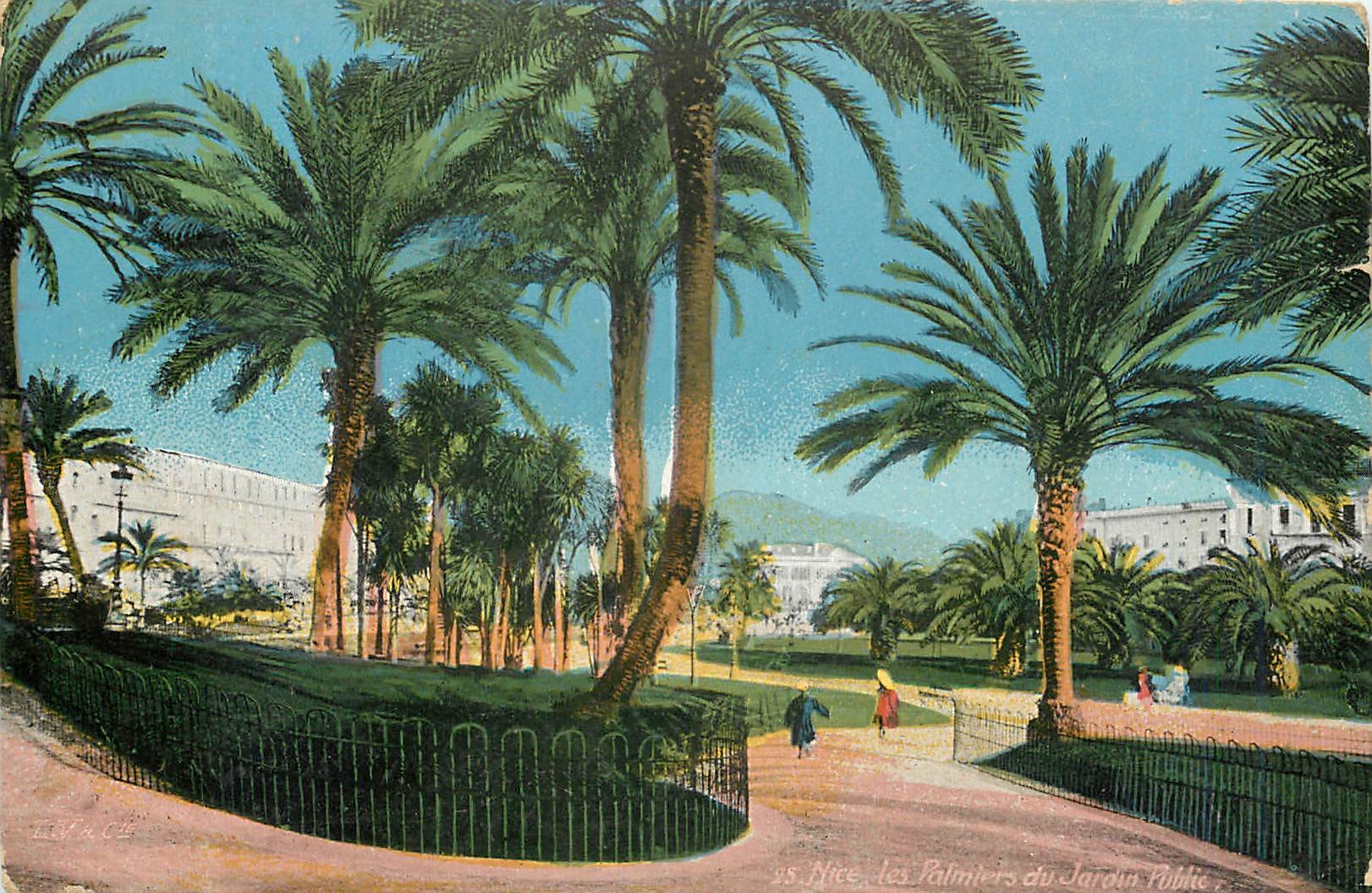 CPA Nice Les Palmiers du Jardin Public 