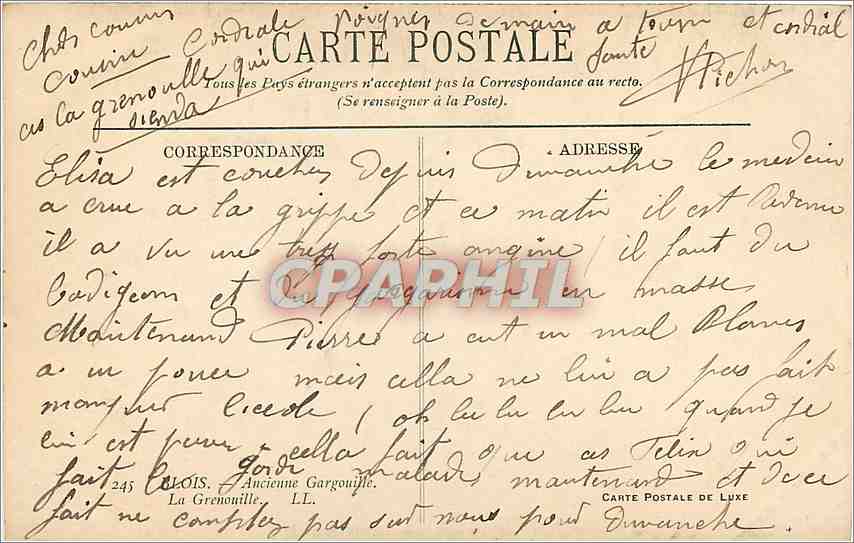 Statue de grenouille — détail sculptural — Carte postale de luxe — Rückseite
