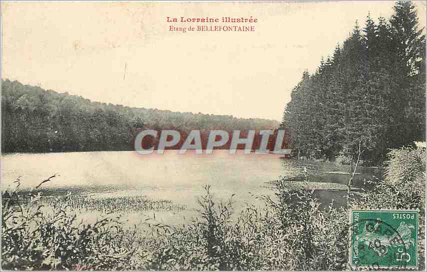 CPA La Lorraine Etang de Bellefontaine 