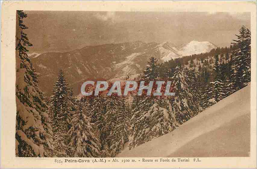 CPA Peira Cava AM Route et Foret de Turini 