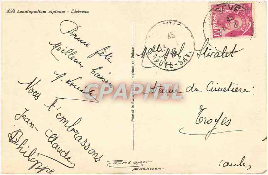 CPA Leonfopodium alpinum Edelweiss  — Verso