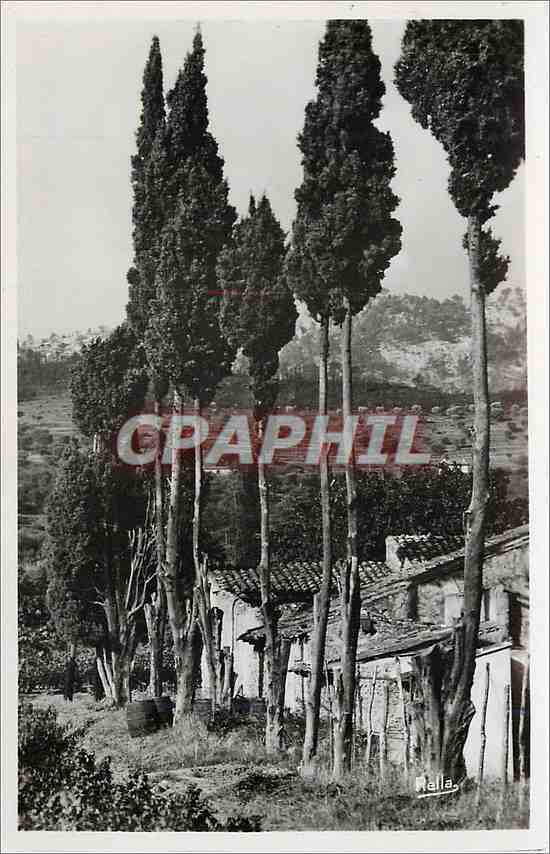 CPM La Cote d'Azur Paysage provencal