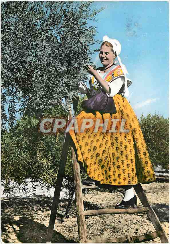CPM Les belles images du Comtat Venaisin Folklore