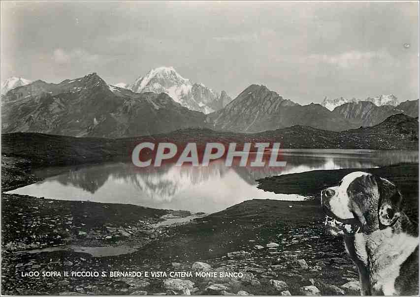 Lago sopra il Piccolo S. Bernardo e vista catena Monte Bianco — Ed. S.A.C.A.T. n° 1563 bis