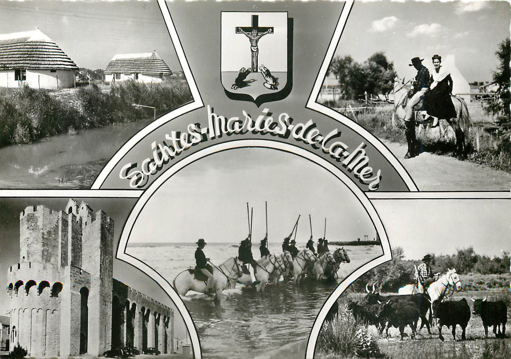 CPM Saintes Maries de la Mer B du R Taureaux