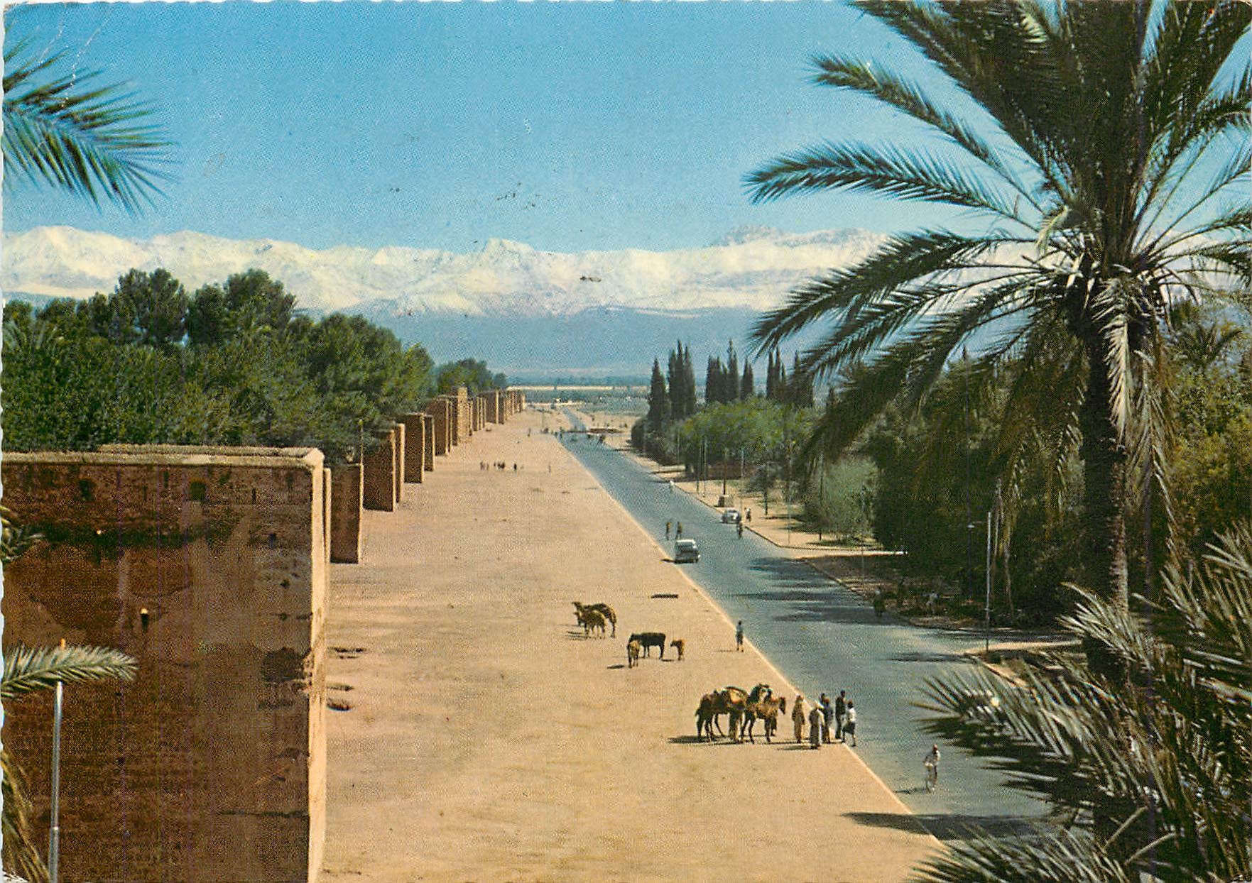 CPM Marrakech Les remparts et le Grand Atlas 