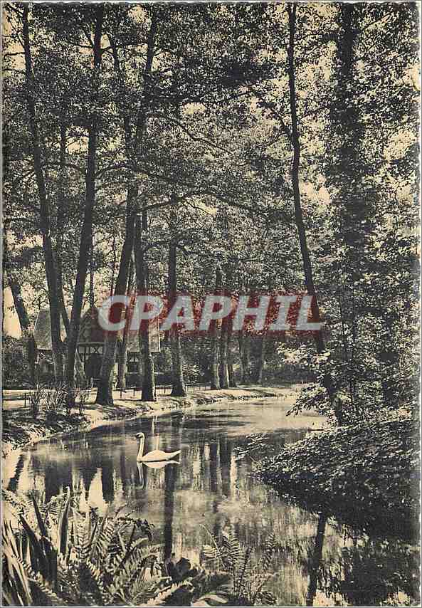 CPM Vittel Dans le Parc Un coin du Lac 