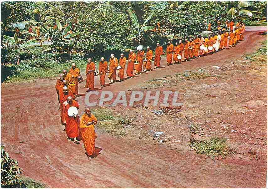 CPM Buddhist Monks Treading for Alms Sri Lanka 